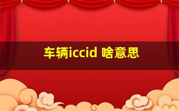 车辆iccid 啥意思